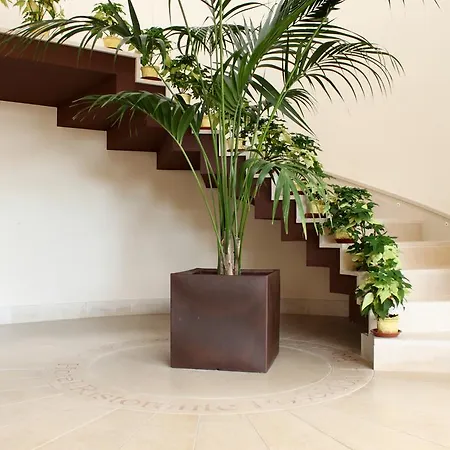 Casa de hóspedes Poseidon 3*